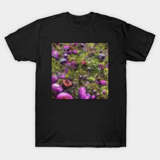 Botanical Mushroom Planet T-Shirt